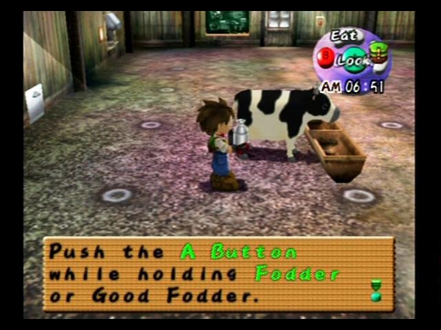 Harvest Moon: A Wonderful Life