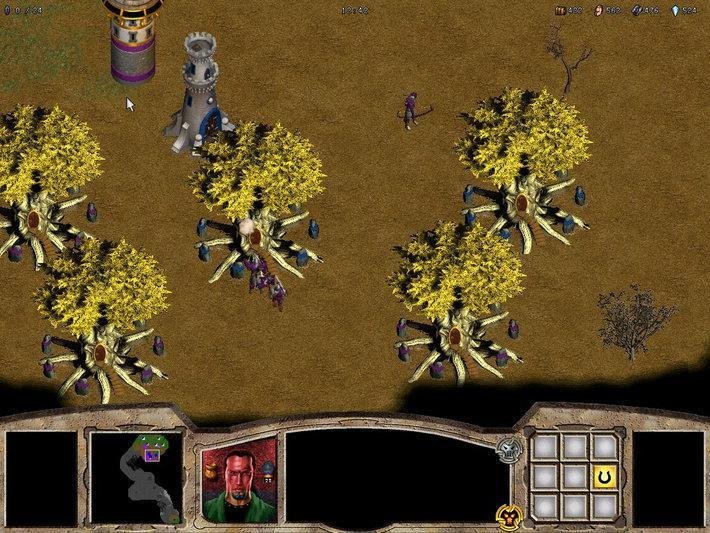 Warlords Battlecry